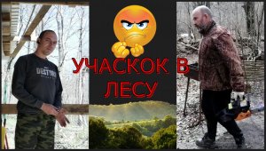 лесная жизнь