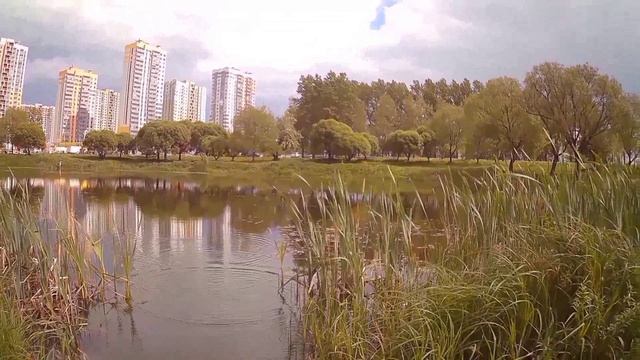 Карась