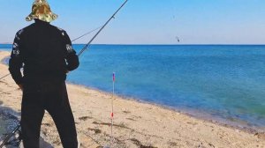 Медузы едят людей !