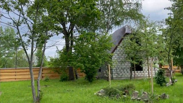 Вломились к соседям! Напали собаки! смотреть онлайн