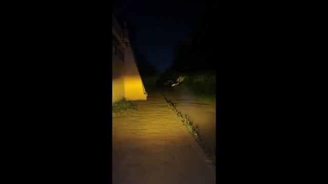 Led птф Nissan Almera Qashqai Teana два режима смотреть онлайн