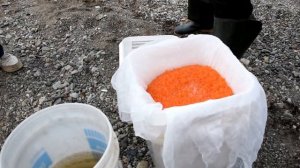 Чукотка 2021 - первые кадры самого большого путешествия по континентальной Чукотке!