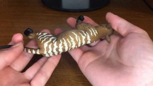 57. Обзор фигурки Mojo (animal planet) гиенодон (2013, арт. 387157)