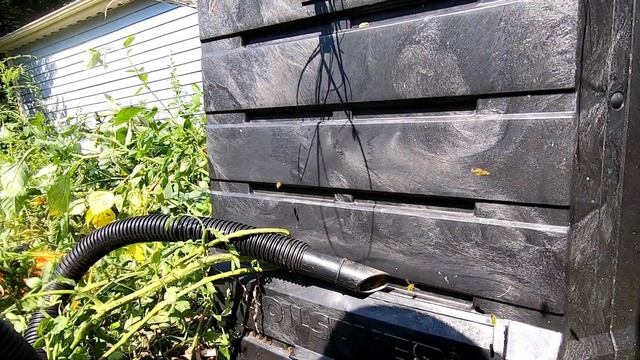 My GoPro Got Stung About 20 Times. смотреть онлайн