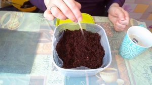 Разведение гриндальского червя