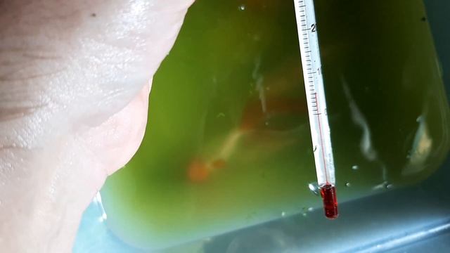 Мои бассейны для аквариумных рыбок. Итоги в 2023 году смотреть онлайн