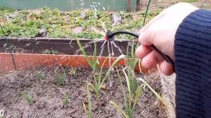 Обзор капельниц и спринклерных оросителей. Часть 2