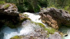 Я призываю всех: и близких, и далёких