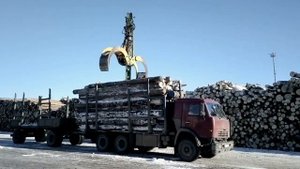 Sennebogen 835 MHD, выгрузка лесовоза
