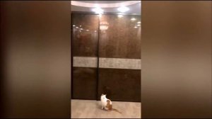 Встроенный шкаф-купе в спальню| Шкаф-купе для семейной пары| Самые широкие двери