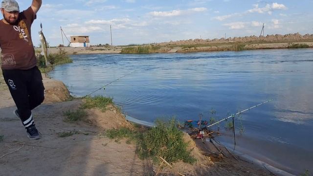 Казахстан. Кызылорда. Рыбалка. Куандария. Судак. Змейбаш. Сом. Сазанчики.