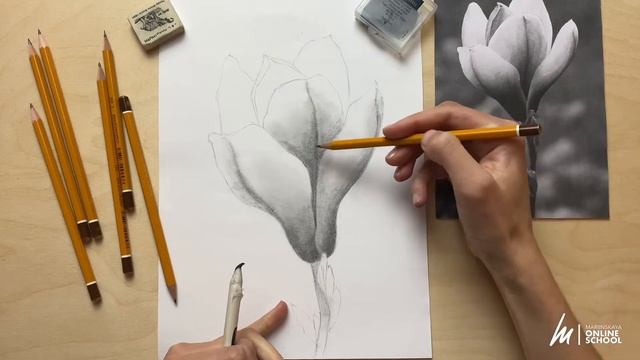 Выразительный цветок карандашом для начинающих смотреть онлайн