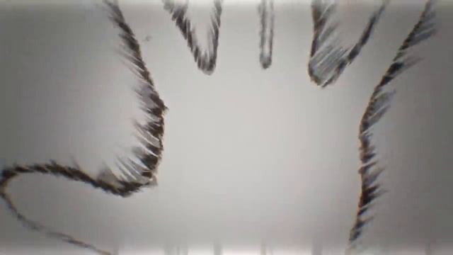 Boku no Hero Academia AMV - FOR THE GLORY