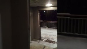 электричка Шатура- Москва 19.01.2022