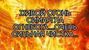 ЖИВОЙ ОГОНЬ СИМАРГЛА ОГНЕБОГА....ОЧЕНЬ СИЛЬНАЯ ЧИСТКА...ДЛЯ ВСЕХ..