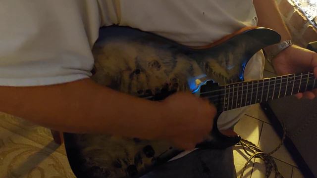 Schecter Research CR-6 Charcoal Burst Burl Electric Guitar 🎸 смотреть онлайн