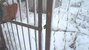 12 Соток _Виноградник