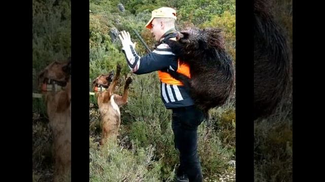 Природа - Самый надёжный карантин смотреть онлайн