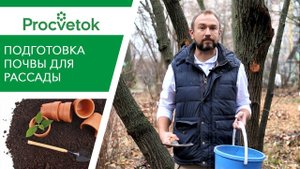 Три волшебных дерева для крепкой рассады! Земля для рассады