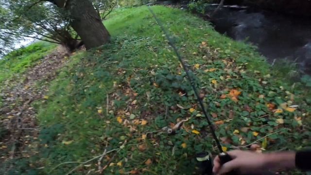 Этот ВОБЛЕР магнит для ФОРЕЛИ, Осенняя рыбалка в горах!#рыбалка #fishing #спиннинг #angeln