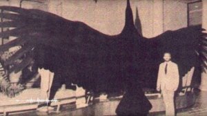 Аргентавис - Самая Большая Птица в Истории