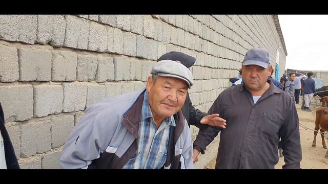 САМАРКАНД ПАСТДАРГОМ ЖУМА МОЛ БОЗОРИ НАРХЛАРИ ТЕЗ КУРИНГ.           21 05 2023