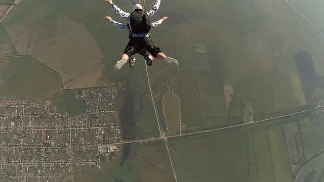 Рожденный ползать — летать может! смотреть онлайн