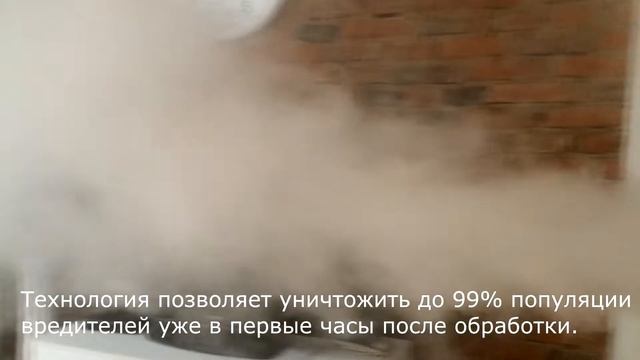 Дезинсекция сухим туманом от насекомых в Минске смотреть онлайн