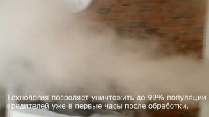 Дезинсекция сухим туманом от насекомых в Минске