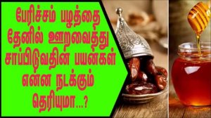 பேரிச்சம் பழத்தை தேனில் ஊறவைத்து சாப்பிடுவதின் பயன்கள் உடலினுள்மாற்றம் ஏற்பட்டிருப்பதைக் காண்பீர்கள