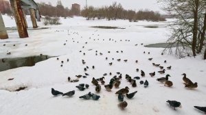 Прогулка по парку