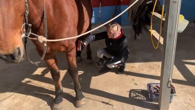 Покупаем коня за МИЛЛИОН? смотреть онлайн