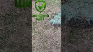 покос травы в городах