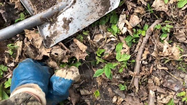 Коп в Ивановской области