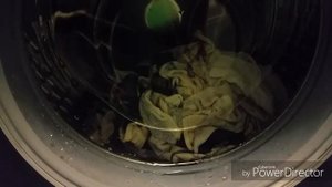 Режим "шерсть" в стиральной машине bosch wlk 2426 moe.