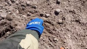 Взял XP DEUS и выбиваю все находки после MINELAB X-TERRA 705 для дальнейшего сравнения между МД