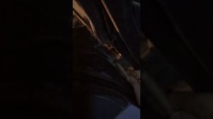 Дверные петли Приора