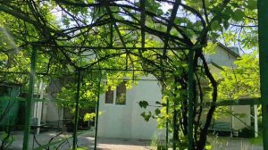 Бабах-Тарама. Жигули