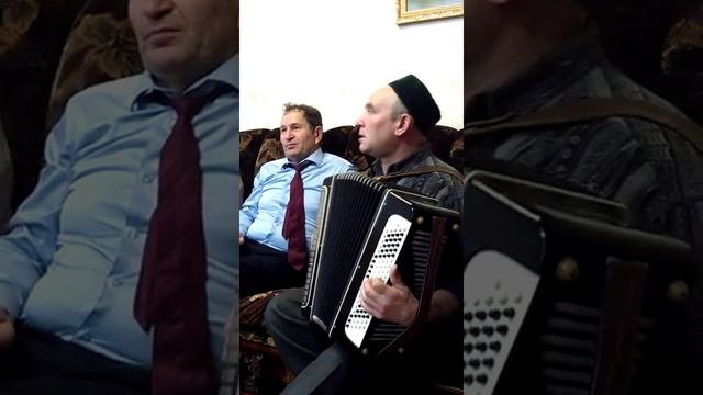 Ромашкалар