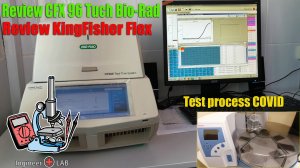 Обзор CFX96 Touch и KingFisher Flex. Тест на коронавирус