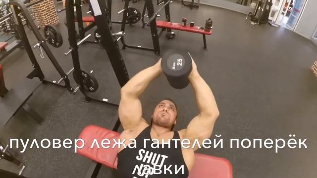 Спина : широчайшие мышцы спины смотреть онлайн