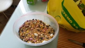 Чем кормить кролика ?