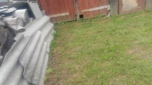 обзор на наш участок