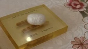 Китай, о.Хайнань, г.Санья /Фабрика Шелка/Holiday Inn