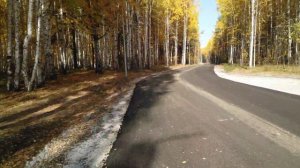 Лыжероллерная трасса в Верхней Пышме(1)