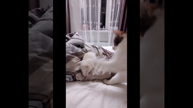 Встреча