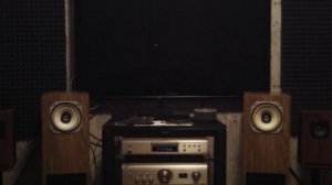 Акустика обратный рупор.Динамики Lo-D(HITACHI).Широкополосные 165мм.