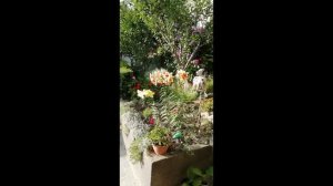 Чемитоквадже Магистральная 86