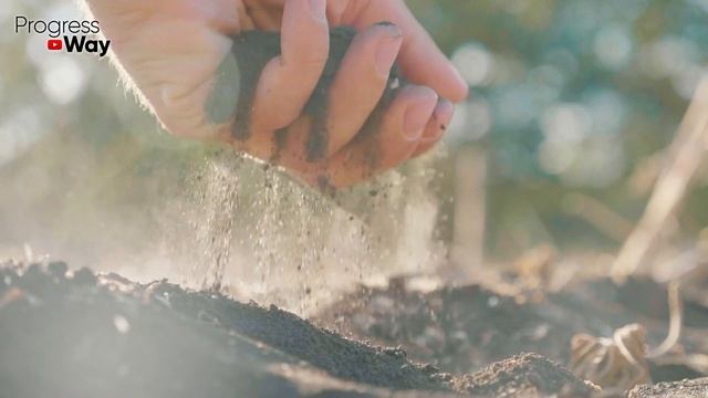 Самое Мощное Средство от Всех болезней и вредителей которое реально работает!