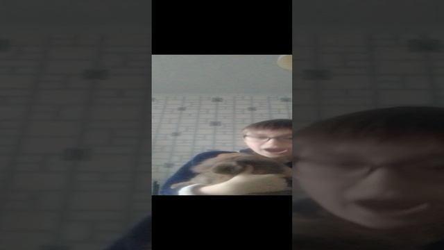 это мой кролик